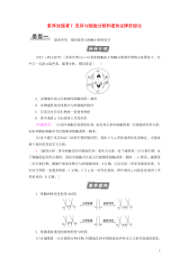 2021版高考生物一轮复习 第7单元 生物的变异、育种与进化 素养加强课7 变异与细胞分裂和遗传定律