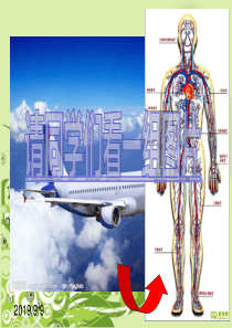 4-4-1流动的组织__血液(比赛)1