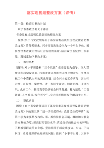 落实巡视组整改方案（详情）