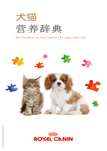 犬和猫的营养成分词典 1