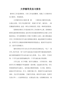 大学辅导员实习报告