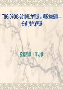 TSGD7003-XXXX压力管道定期