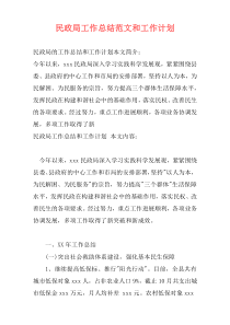 民政局工作总结范文和工作计划