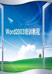 Word2003基础教程完整版-PPT