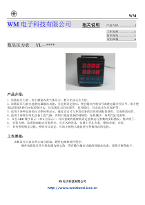 WM电子科技数显压力表 YL-00