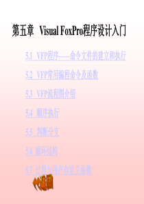 VFP程序命令文件的建立和执行