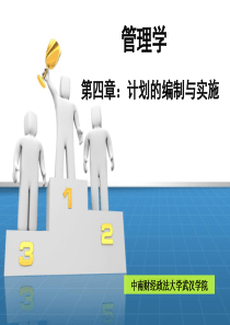 wl管理学第四章计划的编制与实施