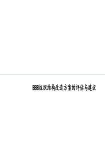 BBB组织结构改造方案的评估与建议