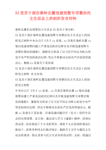 XX党员干部在秦岭北麓违建别墅专项整治民主生活会上的剖析发言材料