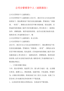 公司分管领导个人（述职报告）