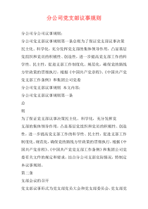 分公司党支部议事规则