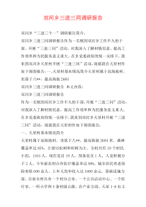 双河乡三进三同调研报告