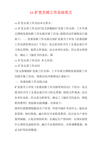 xx矿党支部工作总结范文