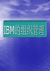 IBM的组织管理