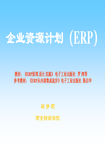 ERP原理与实施