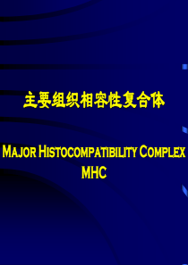 MHC主要组织相容性复合体