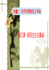 新民主主义革命)