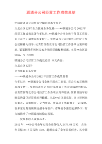 联通分公司经营工作成效总结