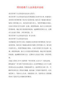 项目经理个人业务技术总结