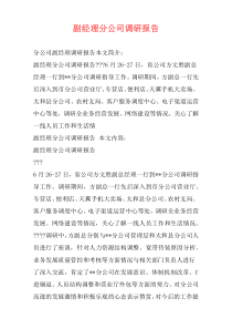 副经理分公司调研报告