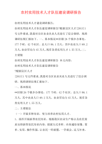 农村实用技术人才队伍建设调研报告