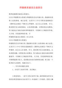 师德教育建设自查报告