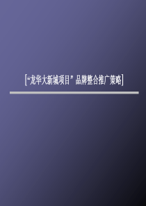 房地产策划案例龙华大新城项目