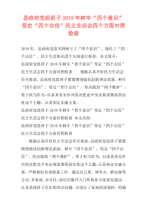 县政府党组班子2019年树牢“四个意识”坚定“四个自信”民主生活会四个方面对照检查