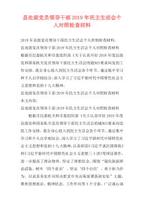 县处级党员领导干部2019年民主生活会个人对照检查材料