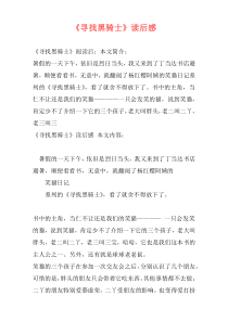 《寻找黑骑士》读后感