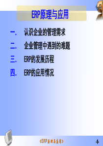 ERP原理与应用(ppt 47页)