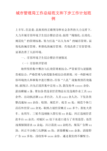 城市管理局工作总结范文和下步工作计划范例