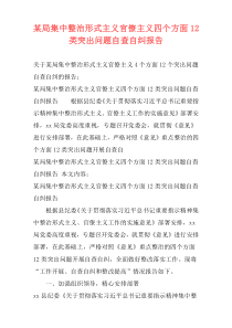 某局集中整治形式主义官僚主义四个方面12类突出问题自查自纠报告