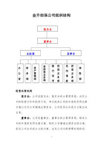 XX担保公司组织结构(doc7)(1)