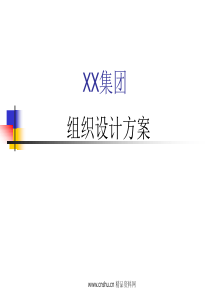 xx集团组织设计方案(1)