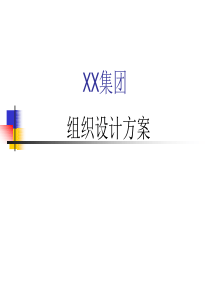 XX集团组织设计方案