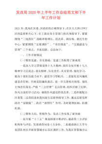 发改局2020年上半年工作总结范文和下半年工作计划