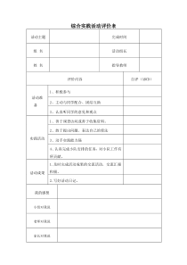 5综合实践活动评价表格