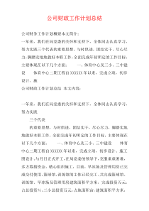 公司财政工作计划总结