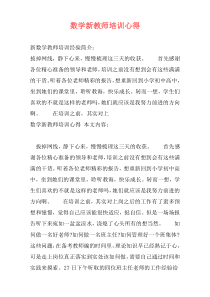 数学新教师培训心得