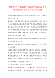 最新2019年县委副书记在参加县委办班子民主生活会上的点评总结讲话稿