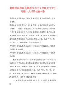 某粮食局副局长整治形式主义官僚主义突出问题个人对照检查材料