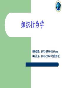 《组织行为学》课件