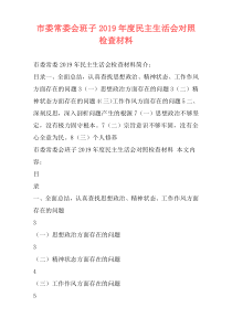 市委常委会班子2019年度民主生活会对照检查材料