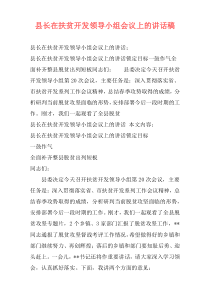 县长在扶贫开发领导小组会议上的讲话稿