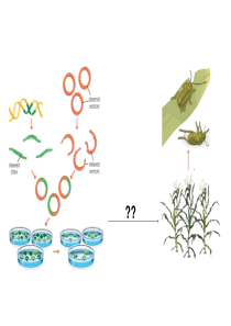 〖XXXX-4-28〗植物组织培养 网通线路 电信线路