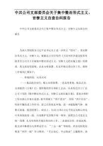 中共公司支部委员会关于集中整治形式主义、官僚主义自查自纠报告