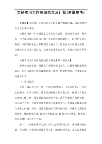 文秘实习工作总结范文及计划(多篇参考)