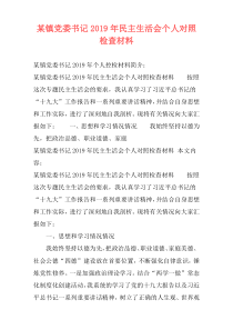 某镇党委书记2019年民主生活会个人对照检查材料