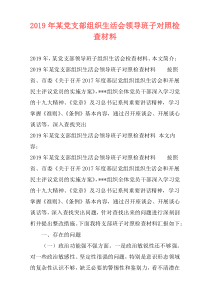 2019年某党支部组织生活会领导班子对照检查材料